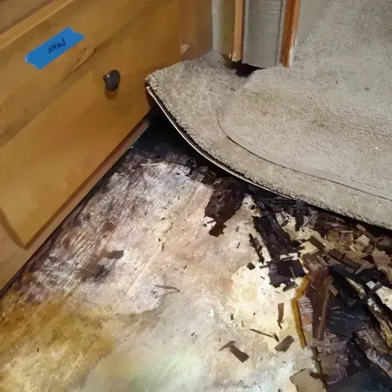 Best Wood Floor Water Damage Service in Ipswich, MA